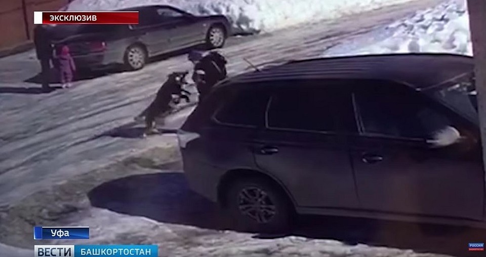 Фото: скриншот видео ГТРК «Башкортостан»