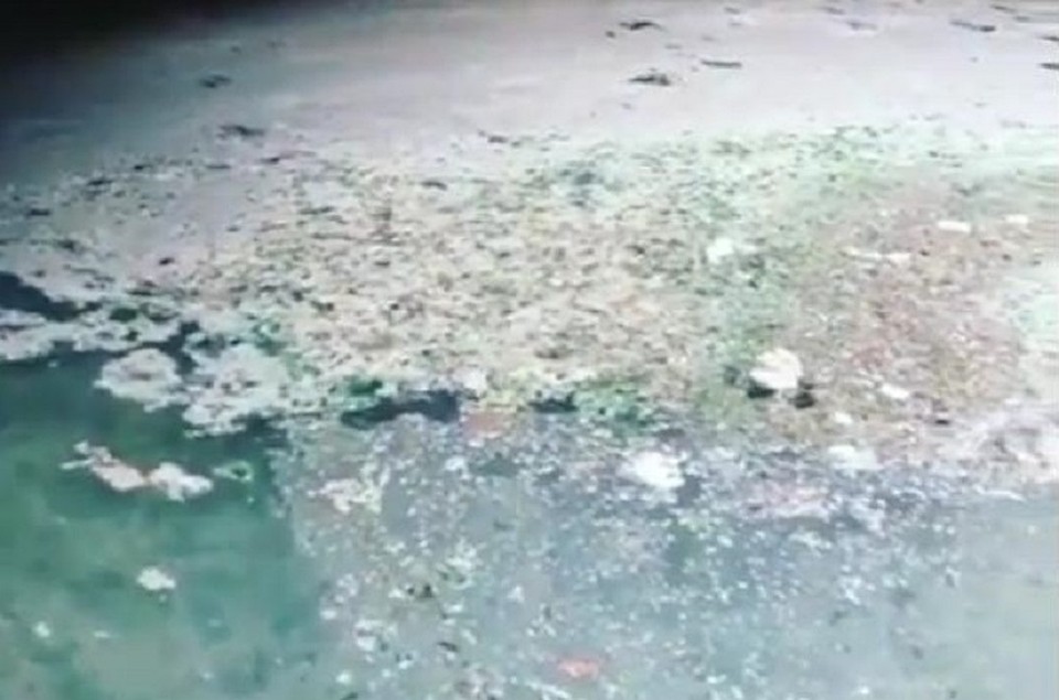 Фото и видео из знаменитой пещеры опубликовала в социальных сетях жительница города-курорта. Фото: стоп-кадр.
