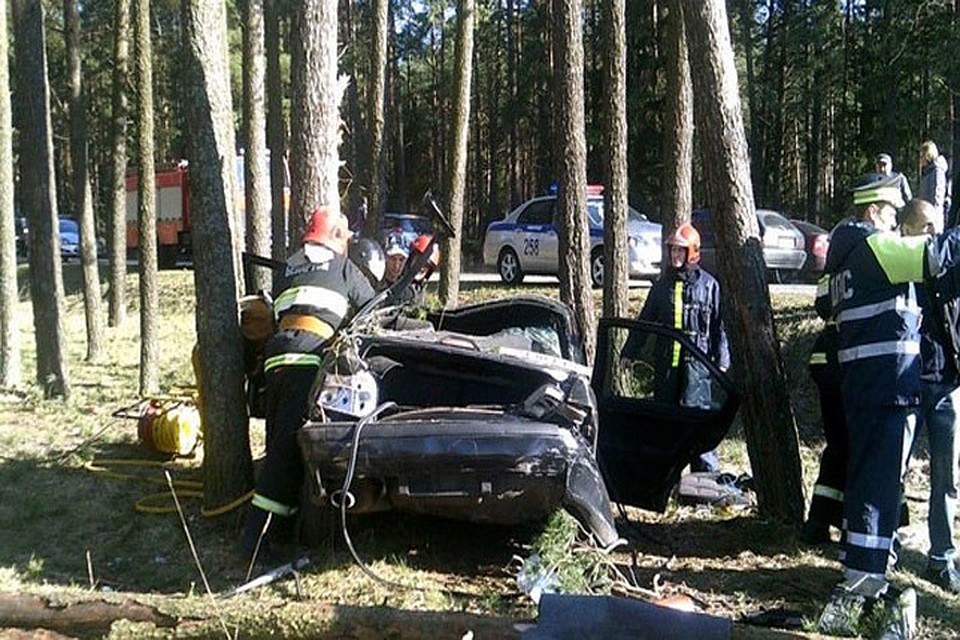 В Новополоцке BMW врезался в дерево Фото: МЧС