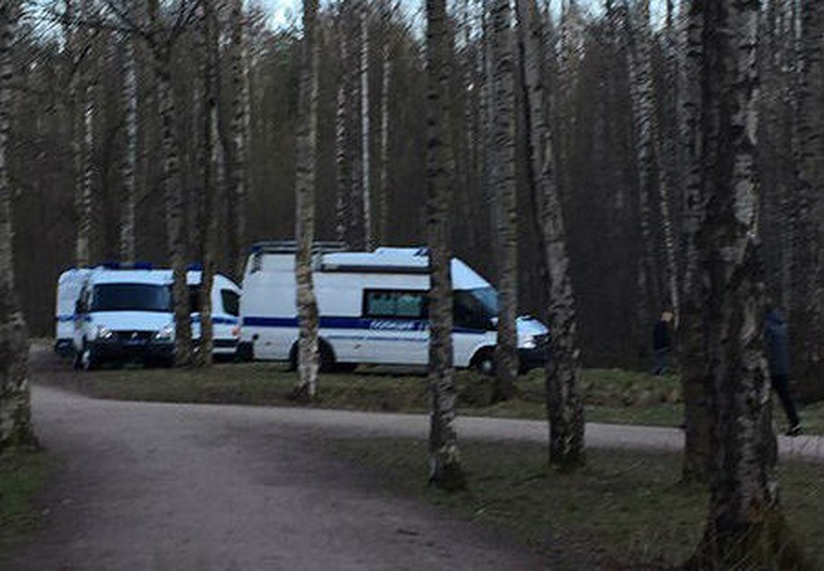 В петербургском парке Сосновка отыскали труп голой женщины