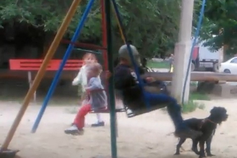 В борьбе с мошкой все средства хороши. Фото: кадр с видео