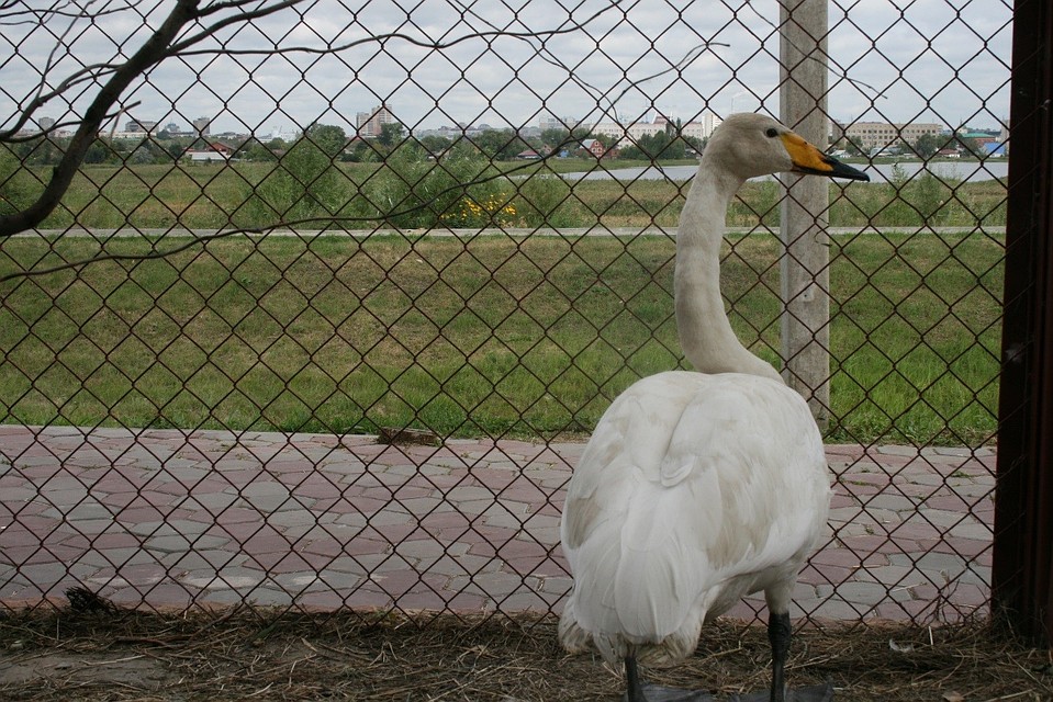 Фото: mpr.omskportal.ru
