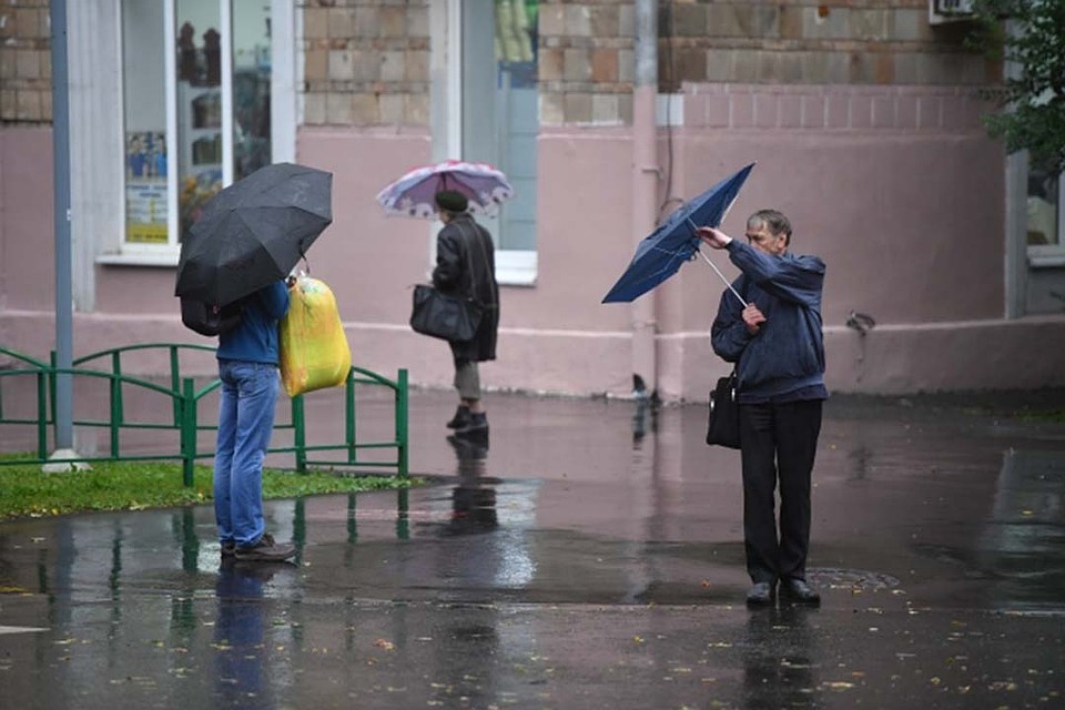 Температура воздуха в этот день поднимется до + 4 градусов тепла.