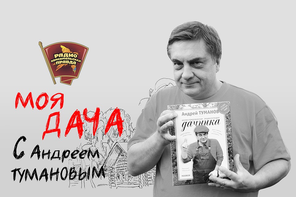 Обсуждаем в эфире программы "Моя дача" на Радио "Комсомольская правда"