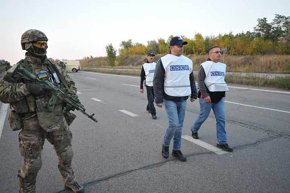 Если информация соответствует истине, то миротворцев Донбассу придется ждать очень и очень долго