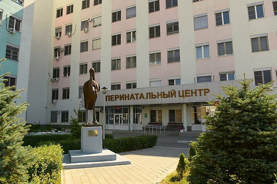 Перинатальный центр окружат гостиницей и кафе. Фото: с сайта vokpc2.ru