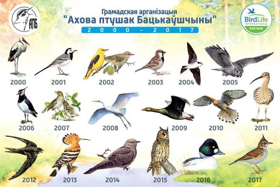 Фото с сайта АПБ Аховах птушак Бацькаўшчыны предлагает выбрать птицу следующего года