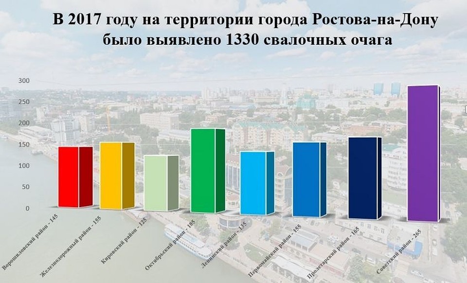 Инфографика по выявленным свалкам в Ростове-на-Дону