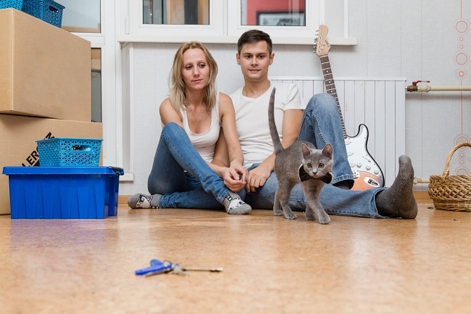 В 2017 году в Молдове были сданы в эксплуатацию 7236 жилищ — это на 10,9% больше, чем в 2016-ом.