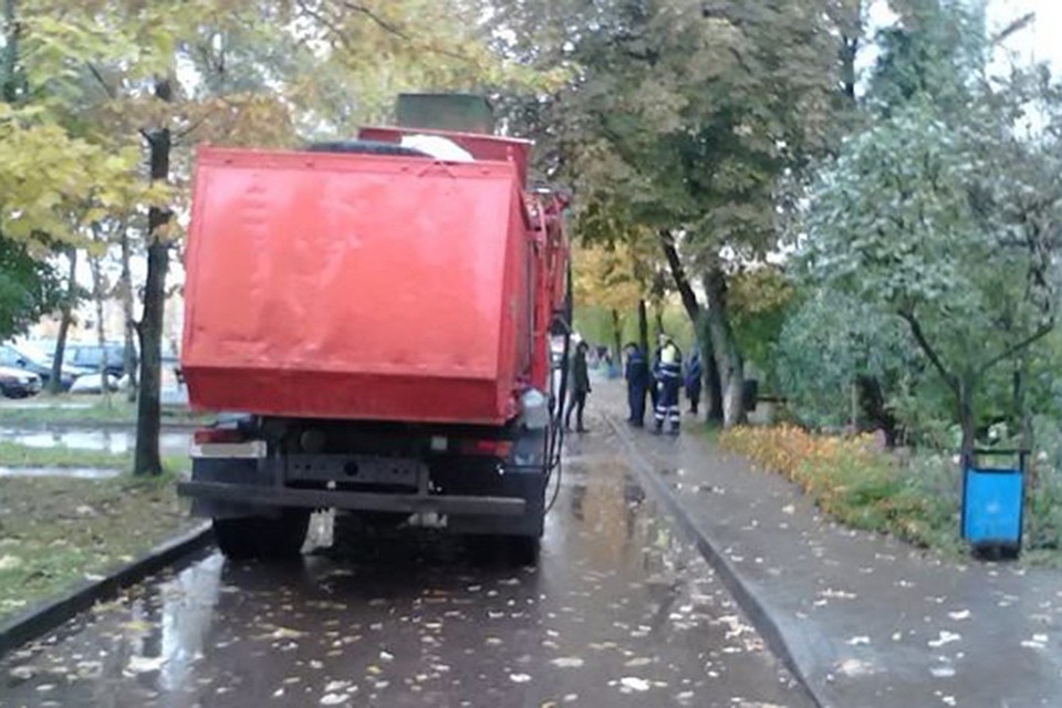 Водителю мусоровоза, который насмерть сбил пенсионера, вынесли приговор. Фото: Следственный комитет.