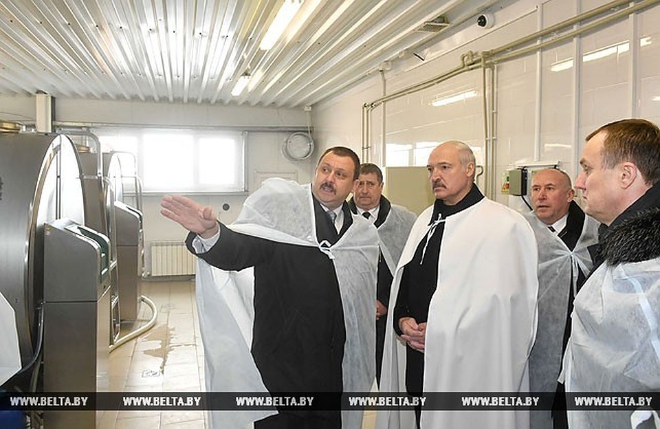 Лукашенко обсудит с Путиным проблемы поставки белорусской молочной продукции в Россию Фото: belta.by
