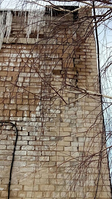 Фото: Ольга Ермакова