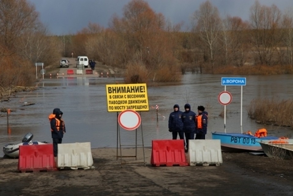 Фото ГУ МЧС по Воронежской области