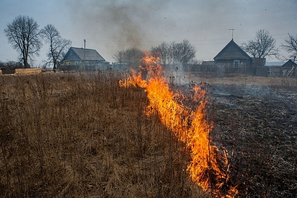 Палы сухой травы могут привести к трагедии Фото: Минприроды Тверской области
