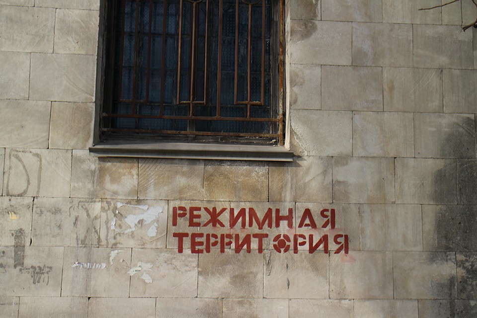 Женщину могут лишить свободы.