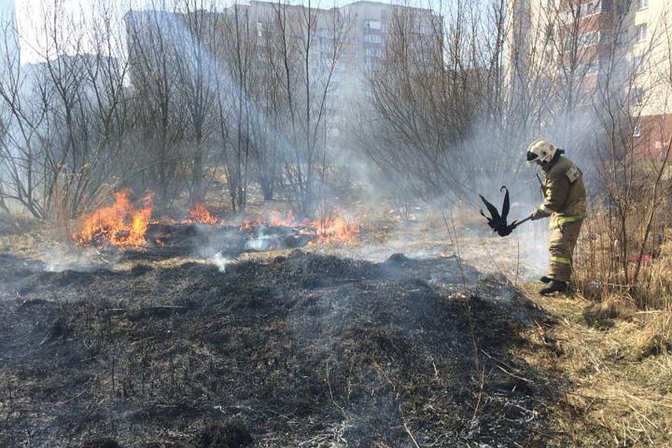 На месте происшествия работают профессиональные огнеборцы.