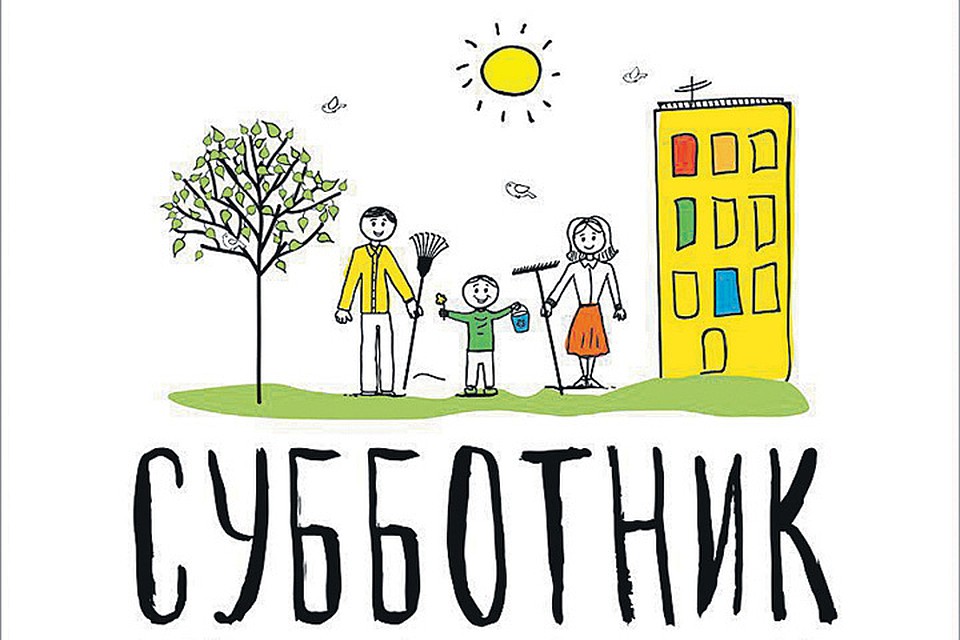 Чистый двор начинается с тебя