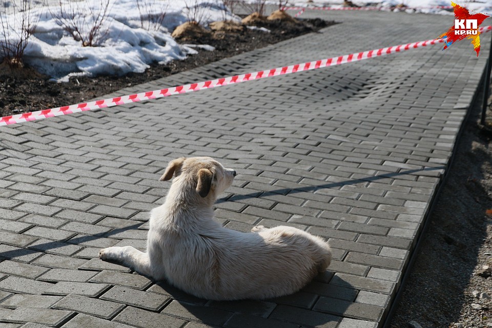 В «Нагорном парке» вздулась плитка
