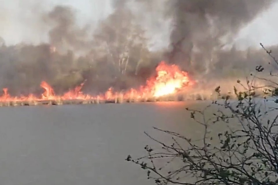 Фото: скришот с видео