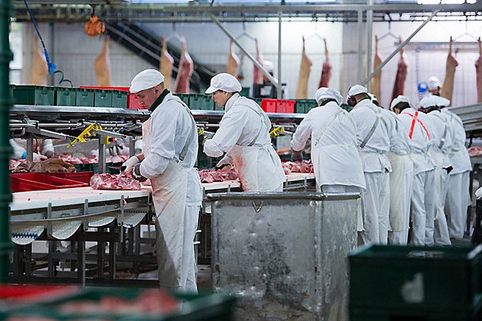 В Эстонии завершилась забастовка работников скотобойни Раквереского мясокомбината. Фото: с сайта rus.err.ee