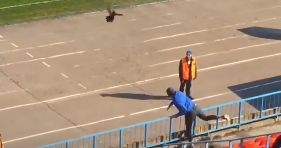 Бросок петуха, судя по всему, оценят на 15 баллов. Пардон, суток.