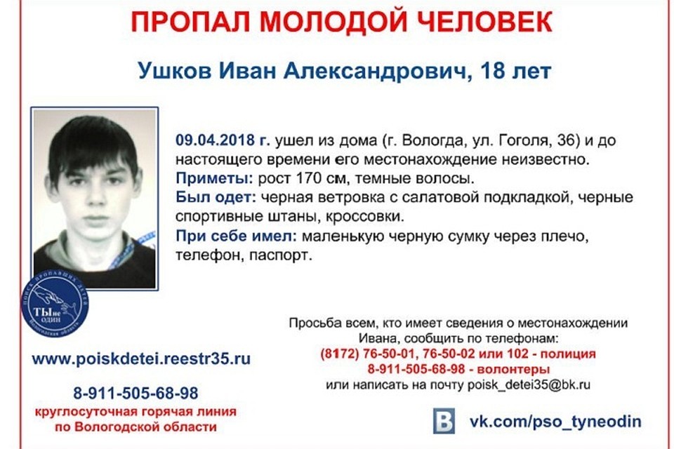 Требуется расклейка ориентировок в Заречной части города