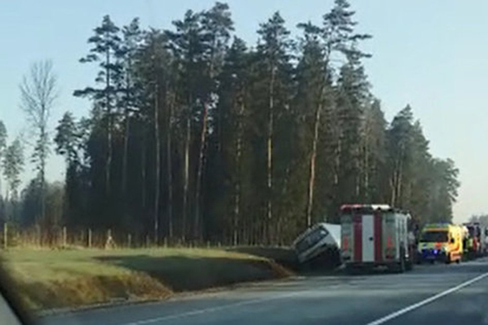 Пассажирский автобус из Беларуси попал в аварию в Латвии, есть пострадавшие. Фото: delfi.lv.