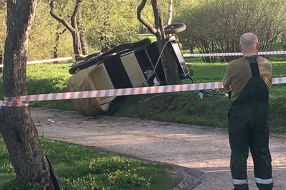 В необычном ДТП пострадали четыре пожилые туристки и девушка, управлявшая лошадью. ФОТО АГН Москва