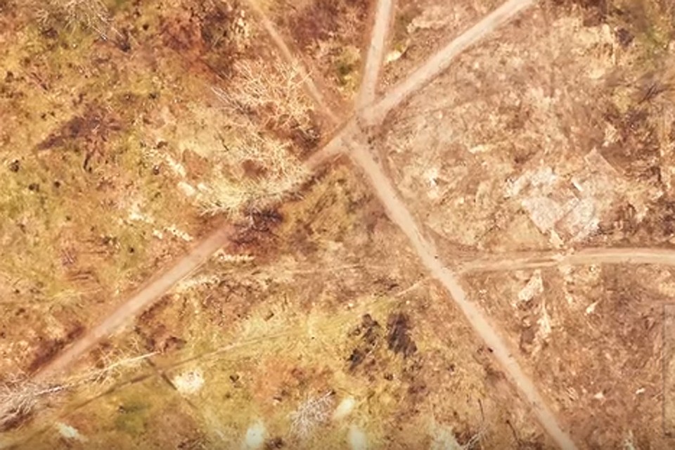 Барнаулец снял на видео парк «Изумрудный» после вырубки деревьев