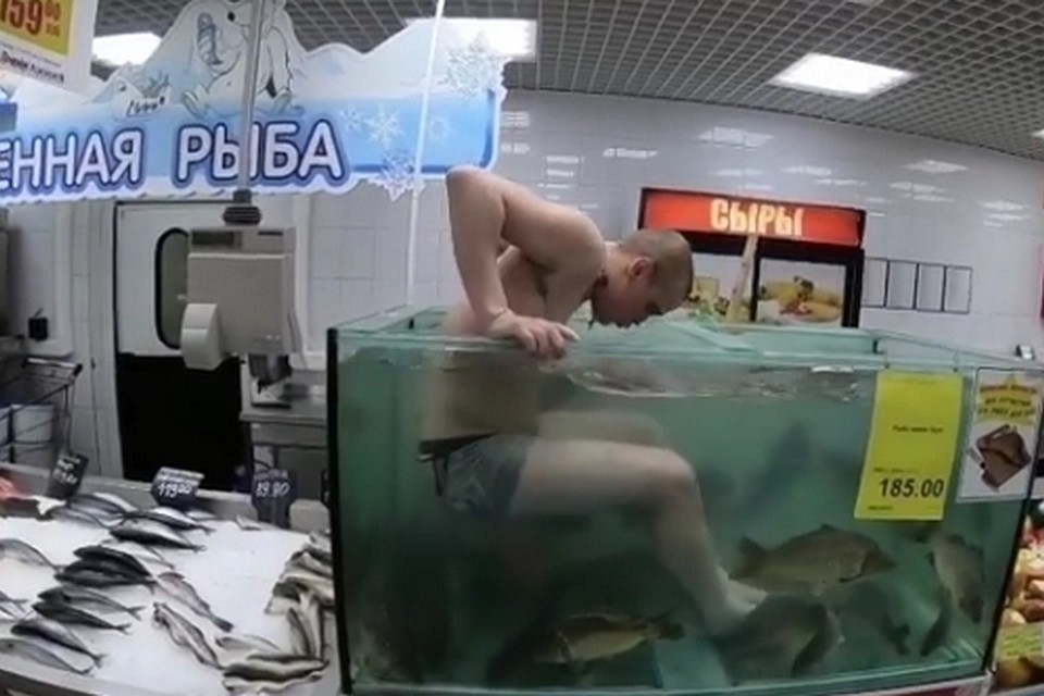Липчанин нырнул в аквариум с рыбой