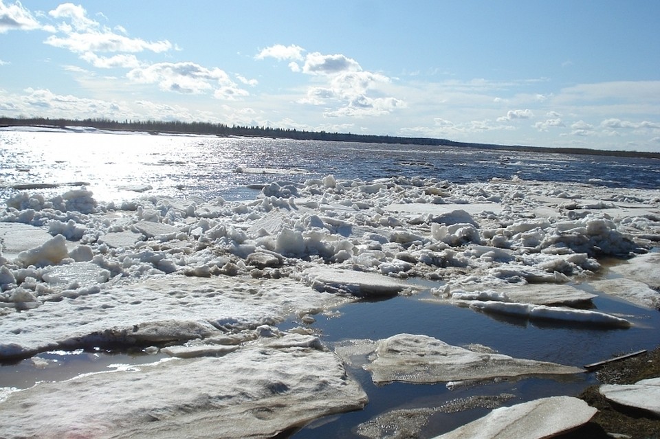 Уровень воды по прогнозу составит 600-700 см., что на метр выше прошлогодних показателей.