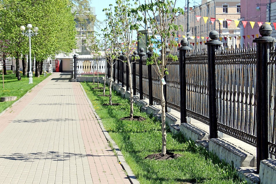 В Твери появилась аллея каштанов Фото: Администрация Твери