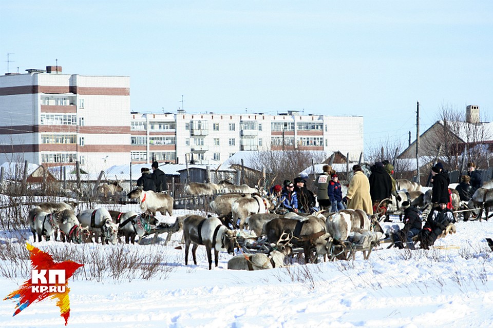 Ловозеро во время проведения саамских игр.