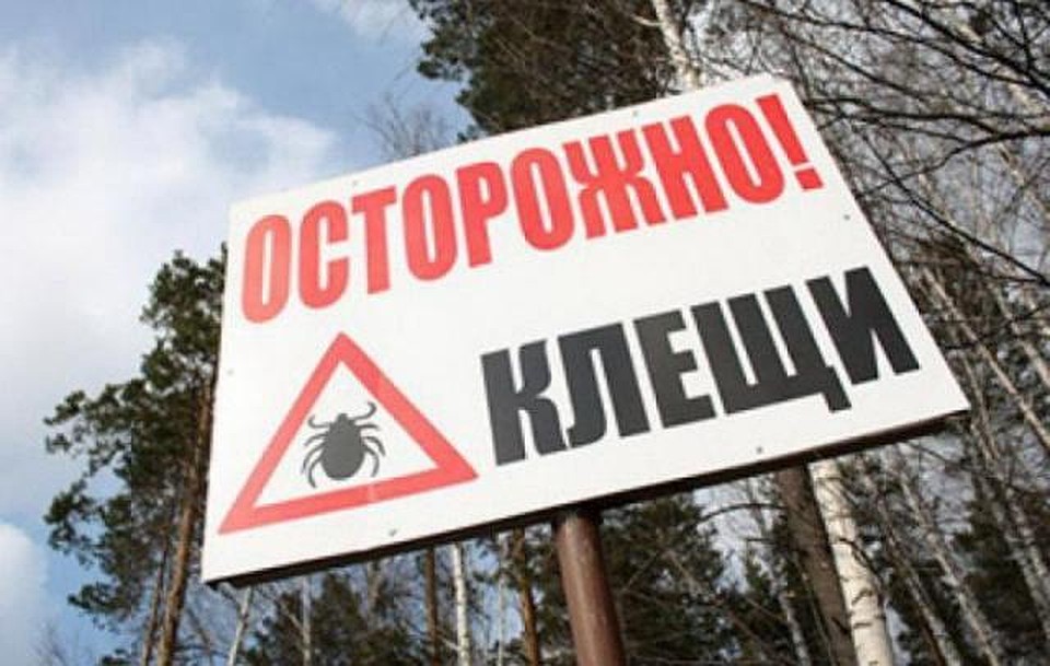 Фото с официального сайта города Нижневартовск