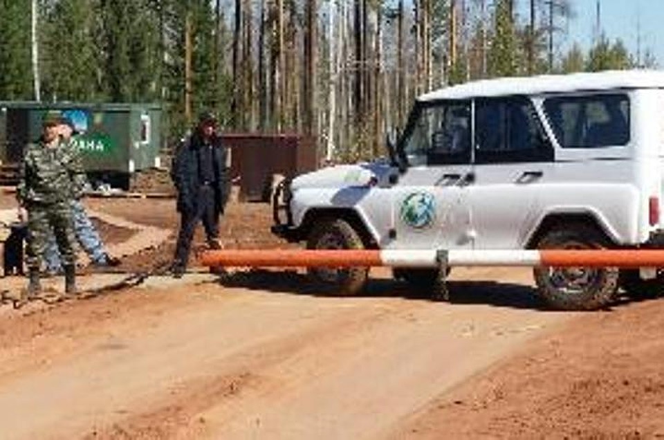 ФОТО: Министерство лесного комплекса Иркутской области.