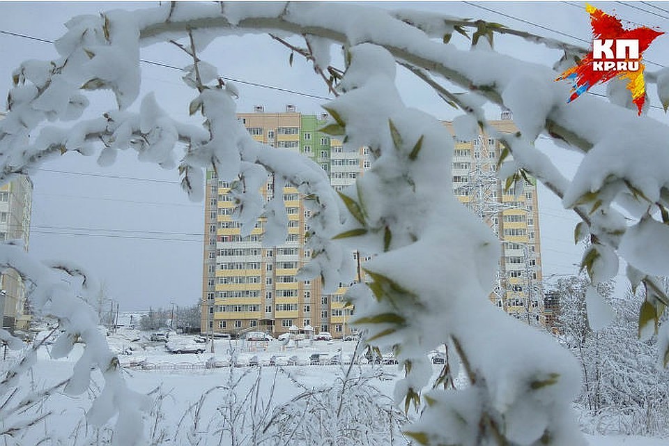 Снег и заморозки вернутся в Красноярск в конце недели.