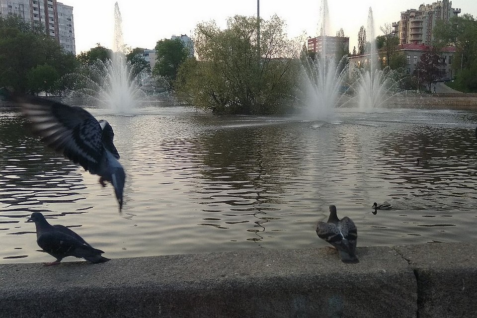 В регионе жарко и дожди