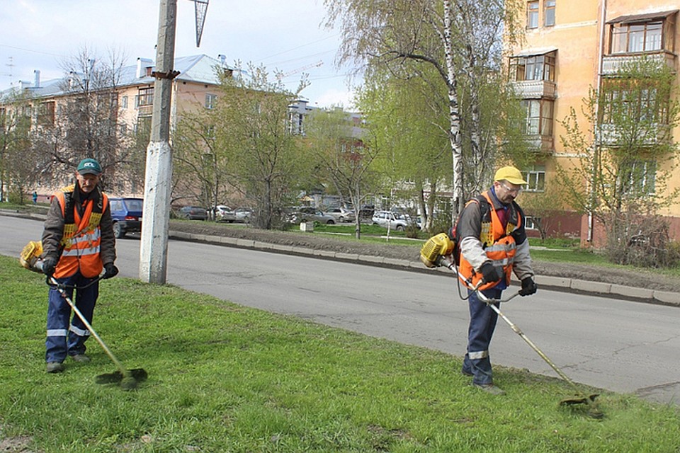 Стрижка газона в Барнауле