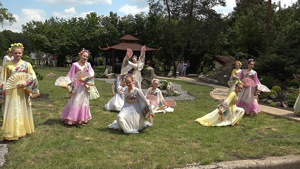 Свой японский сад есть теперь в Донецке