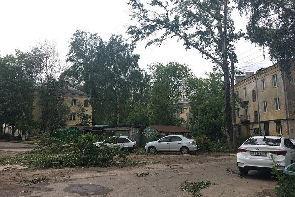 Сломанные ураганом деревья до сих пор лежат на улицах Нижнего Новгорода