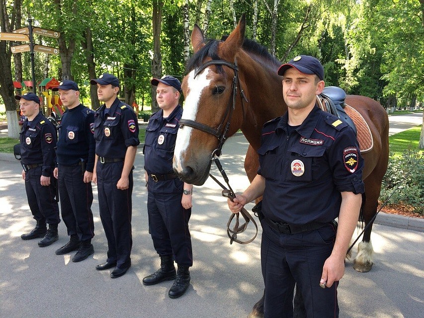 Фото: Алексей ФОКИН