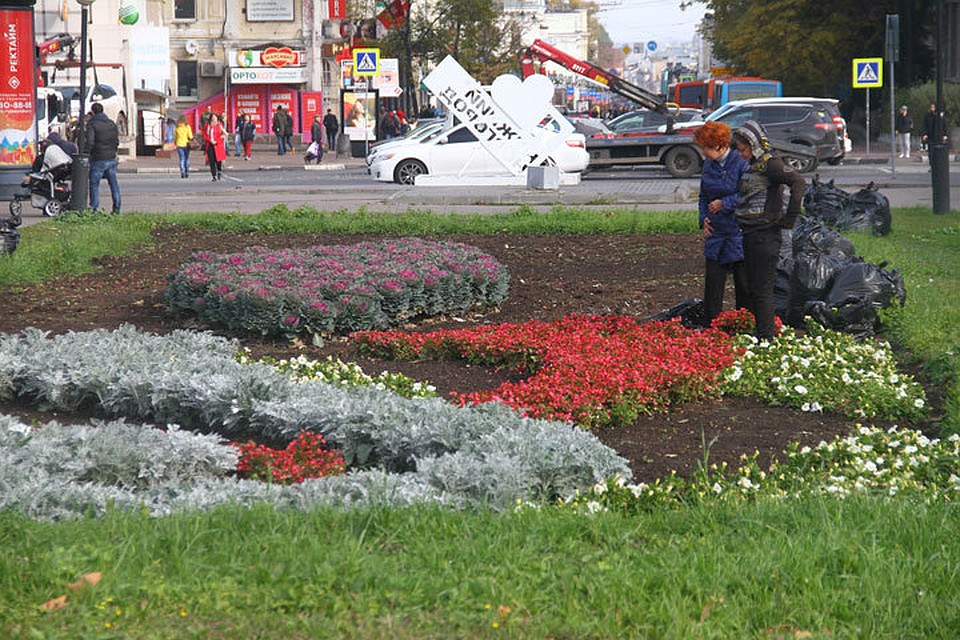 Летом 2018 года в Нижнем Новгороде зацветут гораздо больше мест