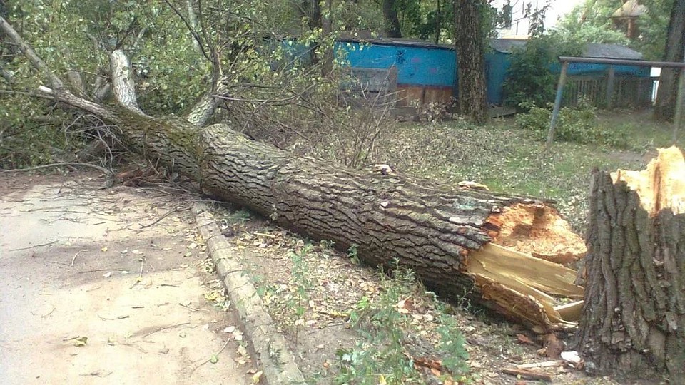 Фото: издательство "Пресса"