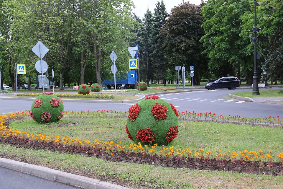 В городе разбили около ста тематических цветников Фото: gov.spb.ru
