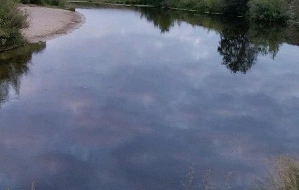 Летом в усадьбе царит особая атмосфера
