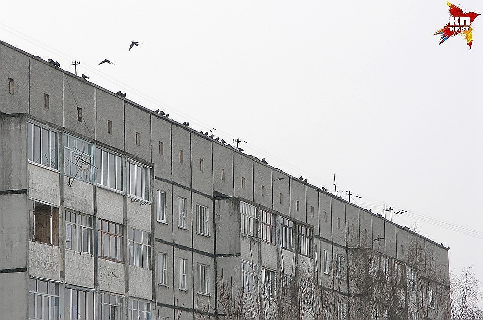 Фото: Павел МИЦКЕВИЧ