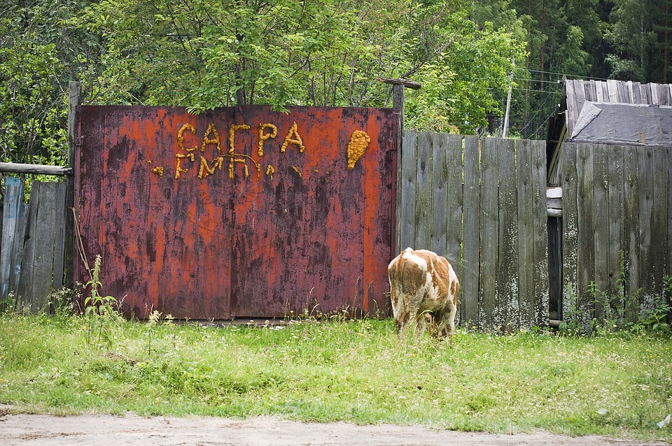 Судебные приставы приехали на участок и сами убрали забор Фото: УФССП России по Свердловской области