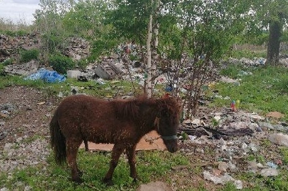 Фото: соцсети
