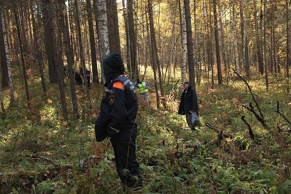 Волонтеры продолжают поиски пропавшей женщины. Фото: Света Сорокина