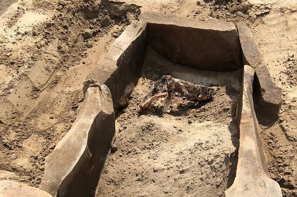 Археологи ИИМК РАН нашли древнюю мумию в районе подтопления Саяно-Шушенской ГЭС. Фото: пресс-служба ИИМК РАН